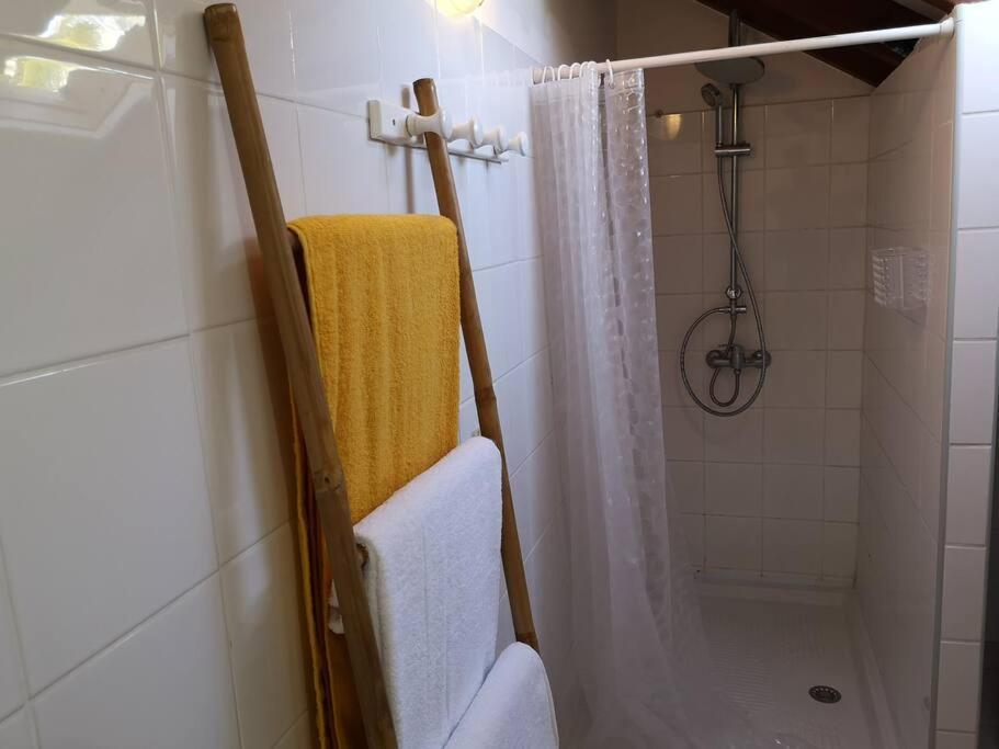 Villa Oneway, Piscine Privee, Classee 3 Etoiles 圣罗斯 外观 照片