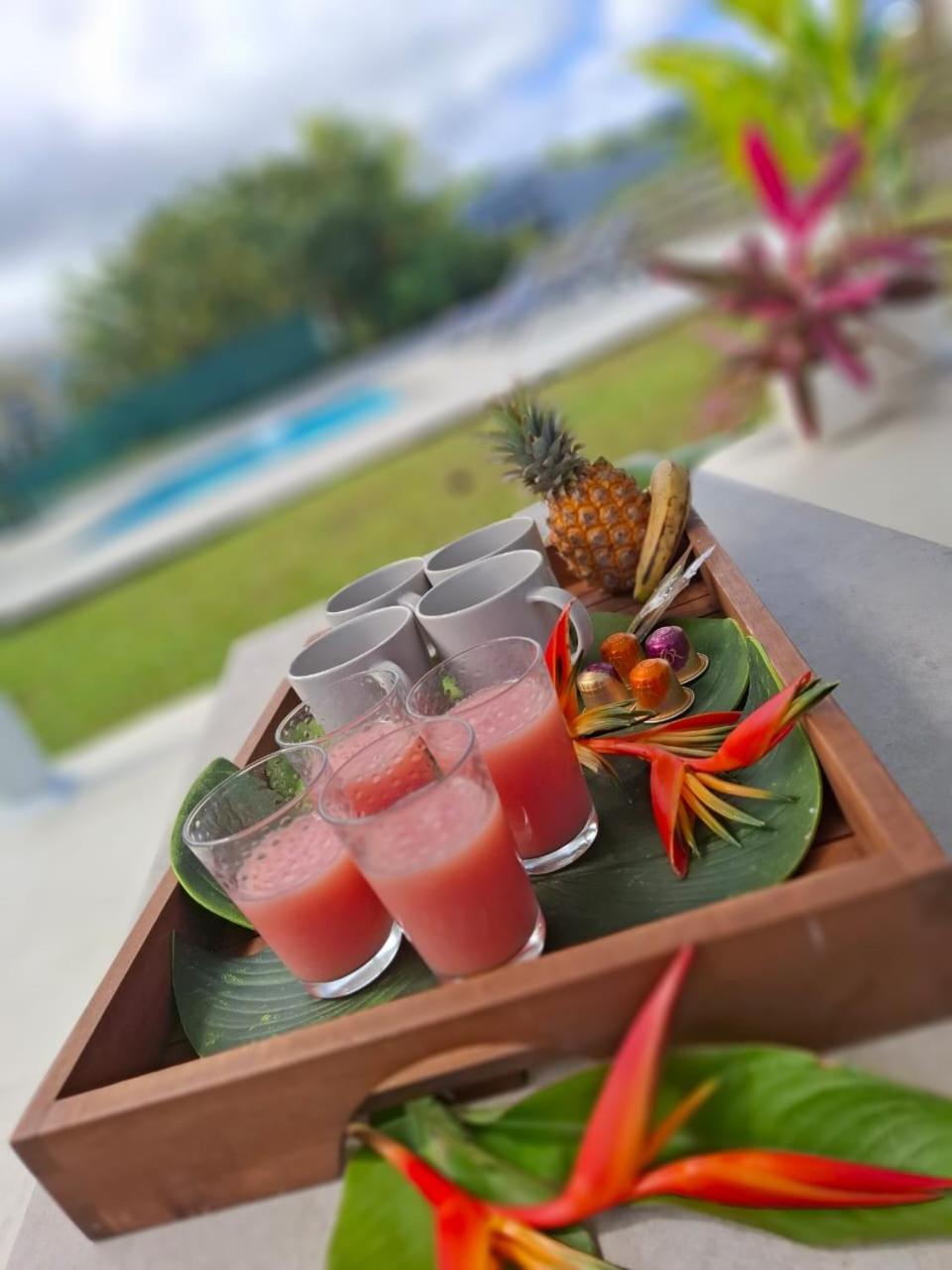 Villa Oneway, Piscine Privee, Classee 3 Etoiles 圣罗斯 外观 照片
